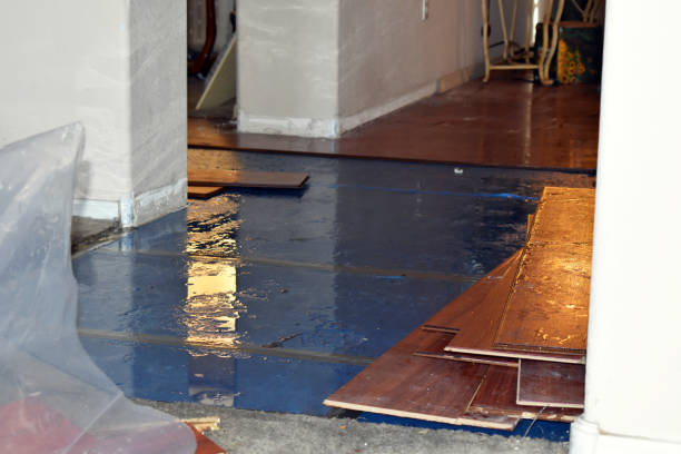 Professional Water Damage Restoration technician working in Houstonia, MO